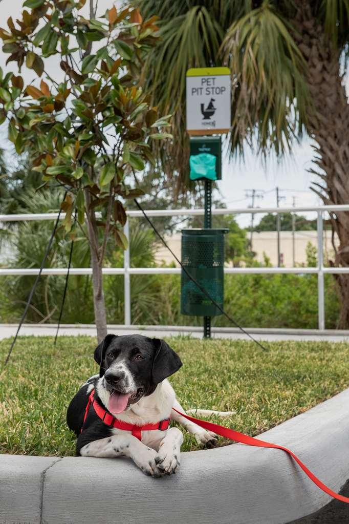 Home2 Suites By Hilton Tampa Westshore Airport Exteriör bild