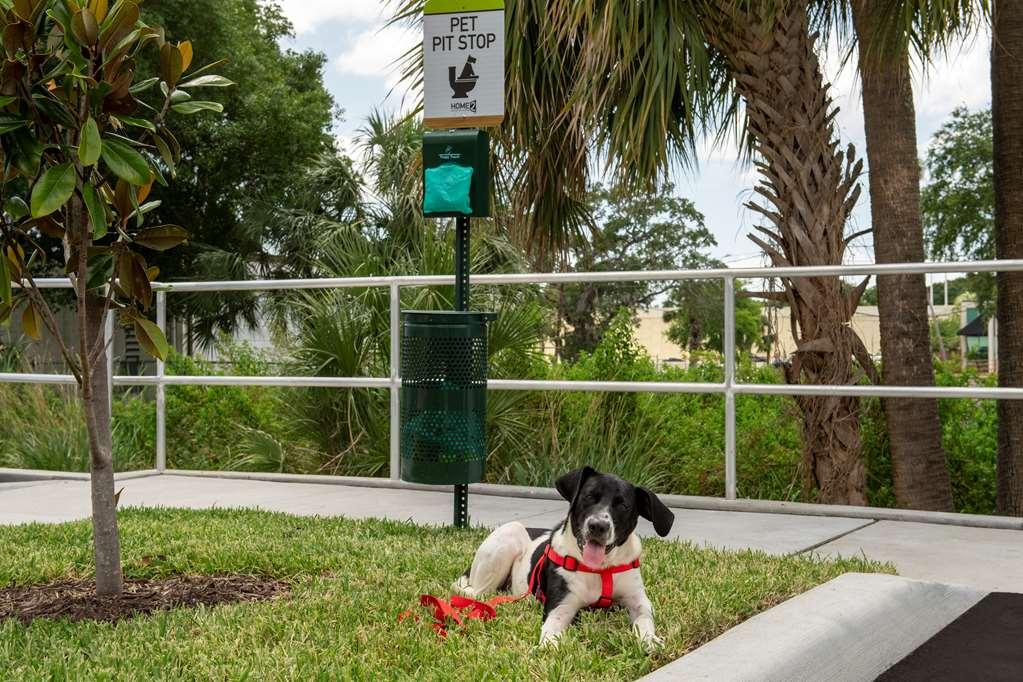 Home2 Suites By Hilton Tampa Westshore Airport Exteriör bild